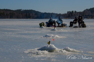 Angling på munkbysjön i strålande sol. foto Pelle Nilsson Ljungandalen.info
