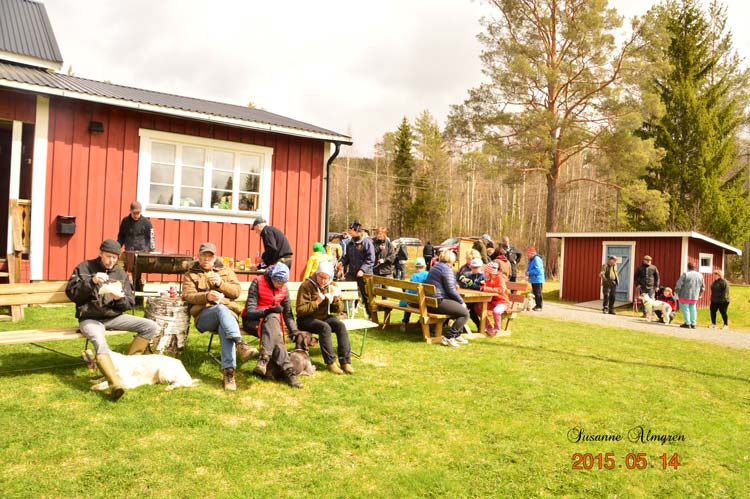 Hundens dag 2015-05-14 på Västra Medelpads brukshundsklubb. Foto Susanne Almgren