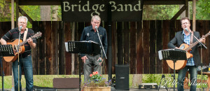 Bridge Band Foto: Pelle Nilsson Ljungandalen.info