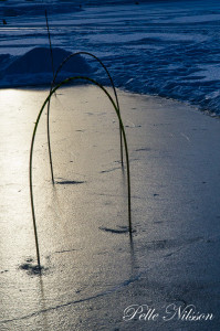 Hinder isbana med fina hinder Foto: Pelle Nilsson